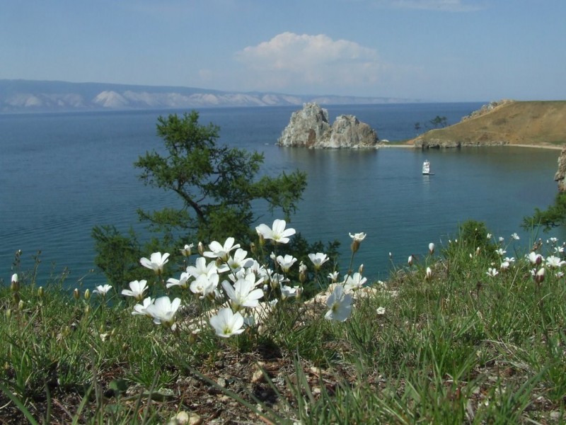Реферат: Природные ресурсы Иркутской области. Ресурсы озера Байкал
