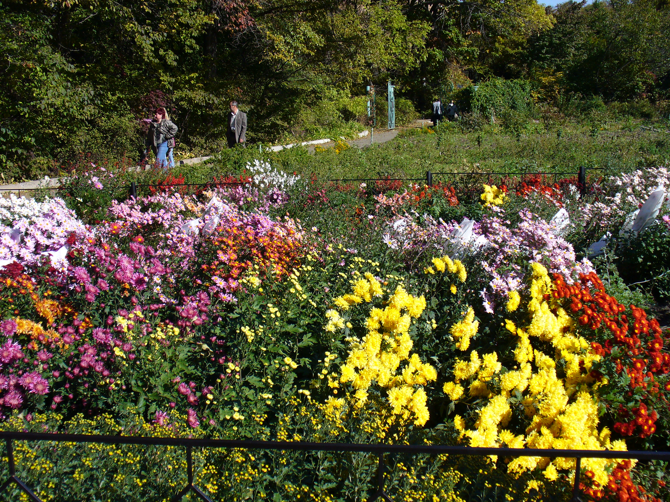 Сады Приморья Владивосток