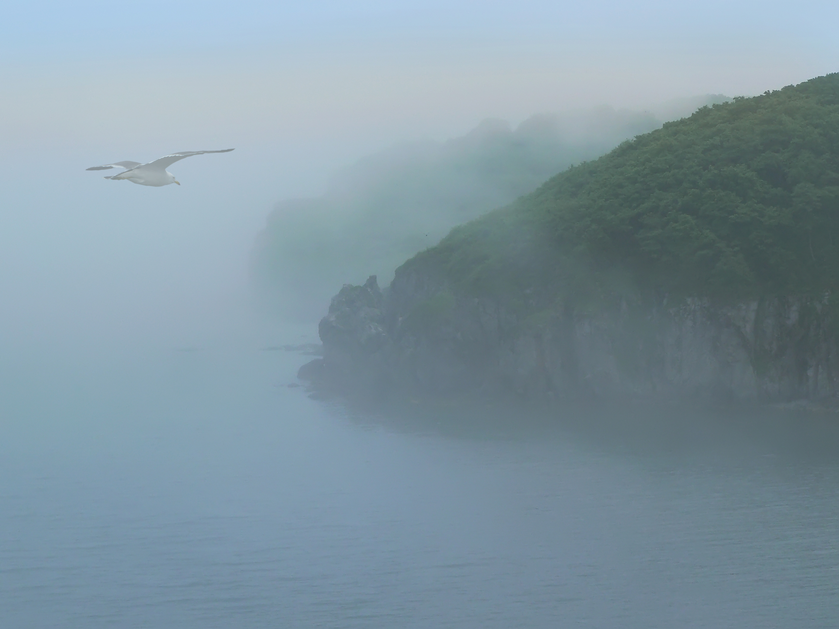 Ньюфаундленд остров туман