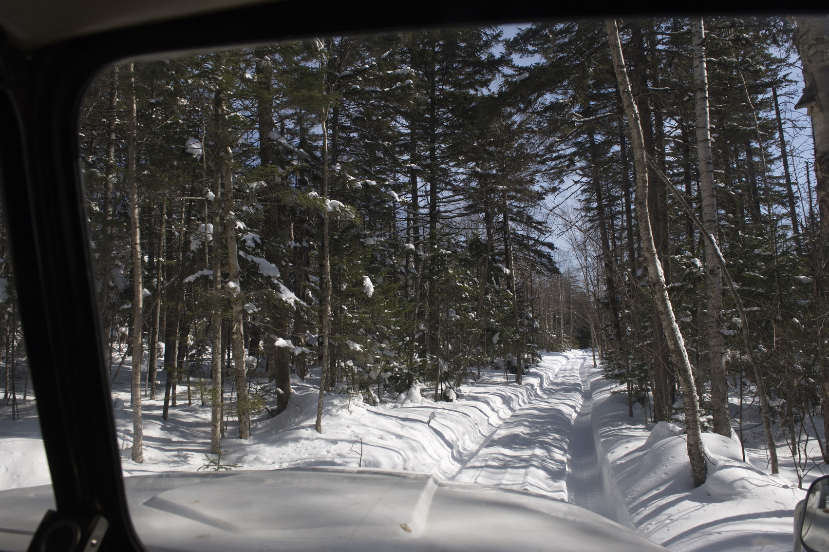 Вид из окна машины зимой