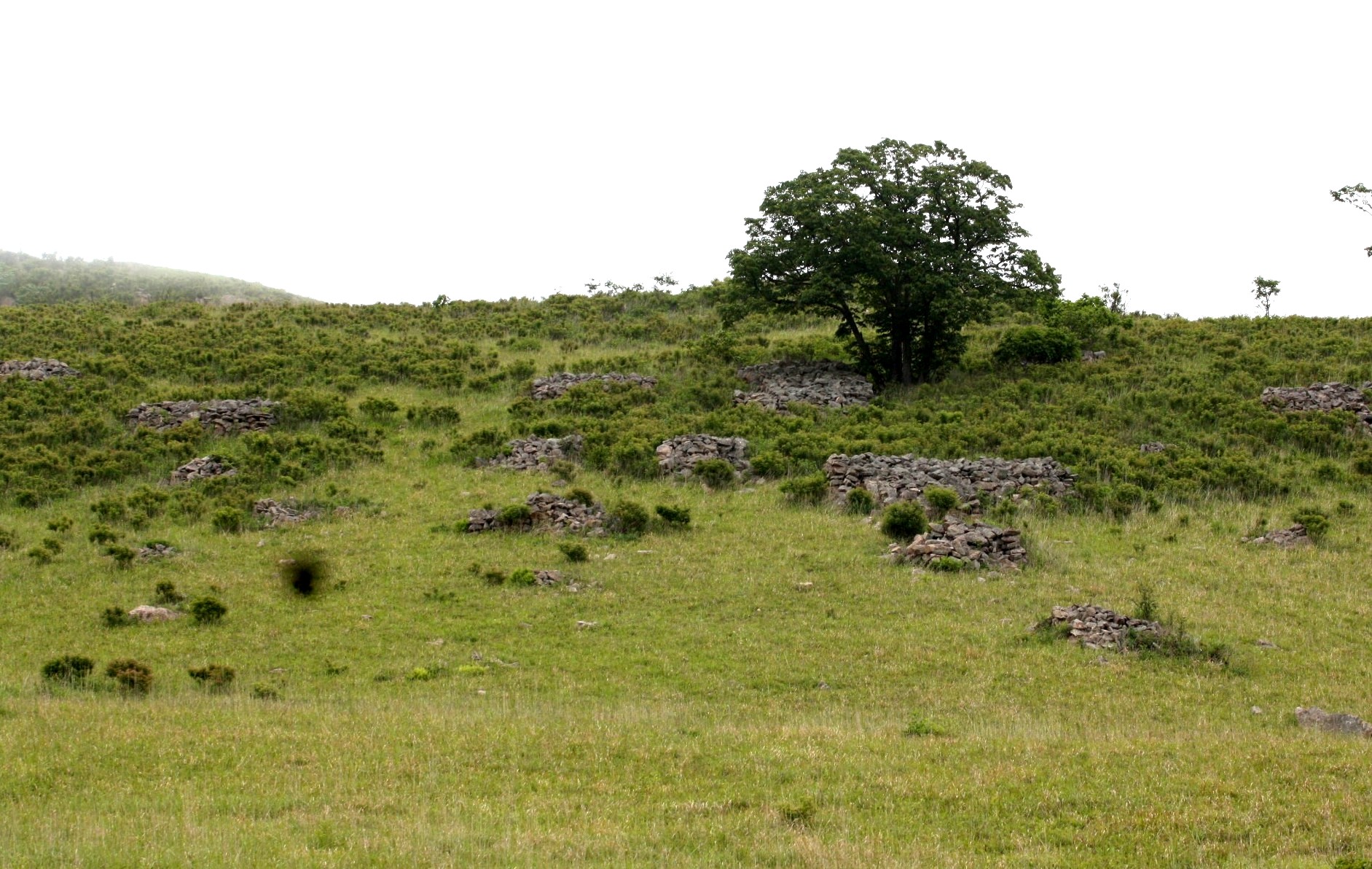 Каменные могилы на горе Дегера