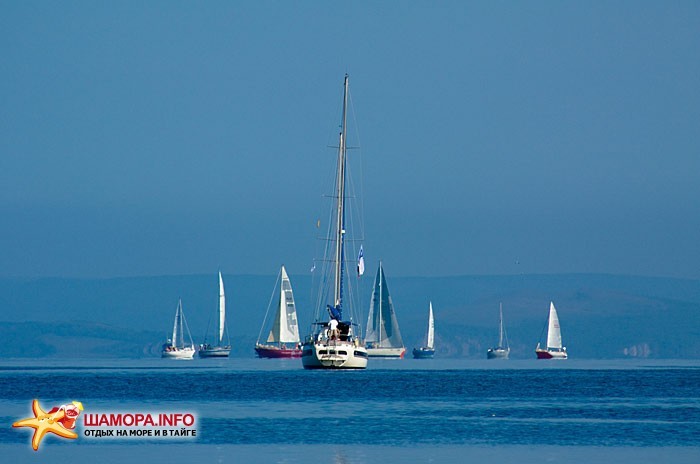 Фото 3337 | Кубок залива Петра Великого 2009