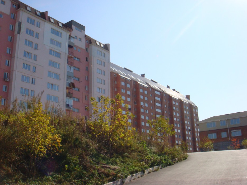 Некоторые виды в городе | Владивосток (подборка)