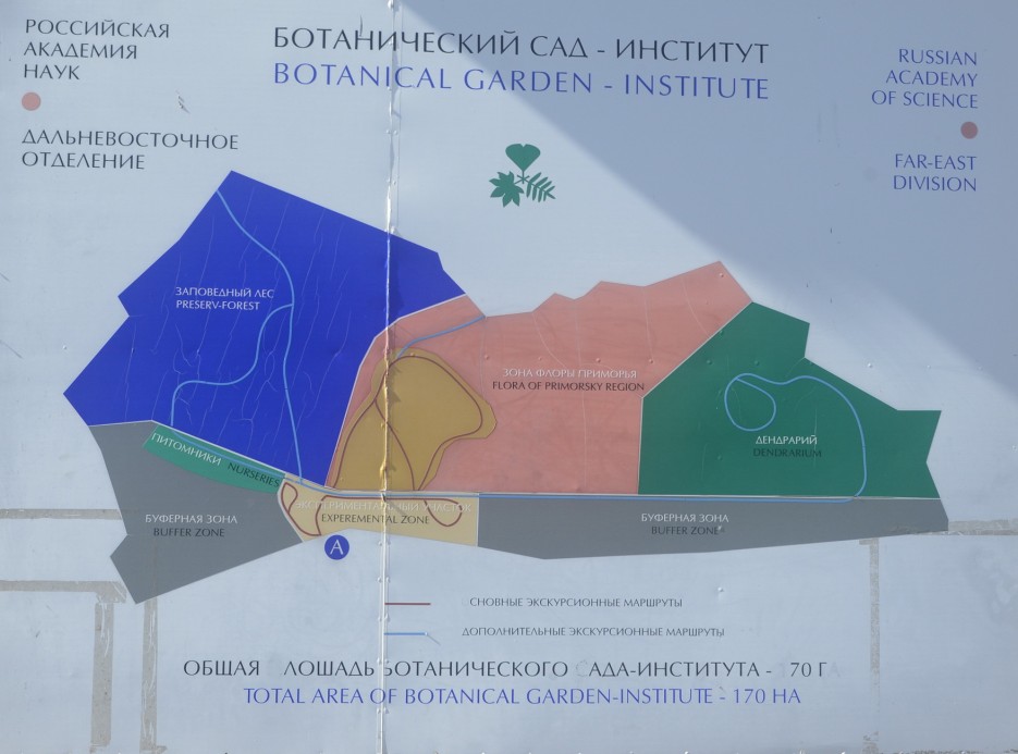 Карта ботанического сада владивосток