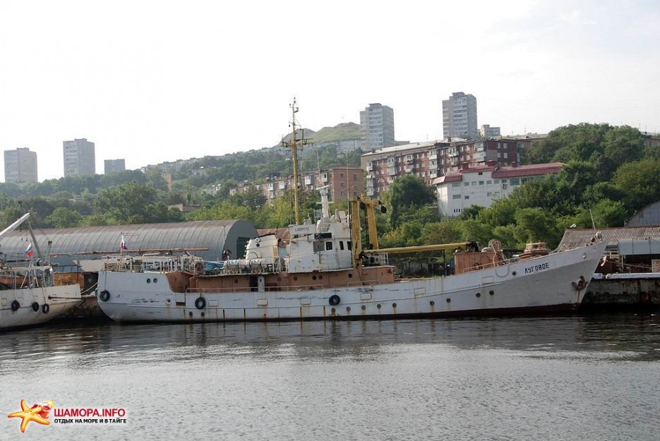 Фото 7416 | Город у моря