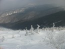 На краткий миг солнце освещало белые деревья, особенно эффектно они смотрелись на фоне мрачных хребтов.