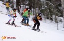 ski-cross_019