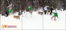 ski-cross_024
