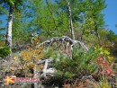 Природа приморского края