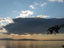 2009