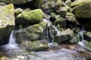 Ключевая водица