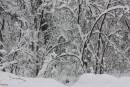 Пидан Сихотэ, снегопад 7 марта