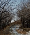 (сопка вблизи района "первый участок". г.Находка) Путь
