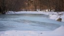 Лес. Речка. Морозяка....