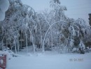 Уссурийск, первый снег,Октябрь 2007