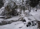 Уссурийск, первый снег,Октябрь 2007