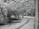 Уссурийск, первый снег,Октябрь 2007