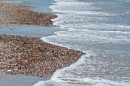 Чистейшая вода бухты Пограничная