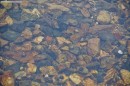Чистейшая вода