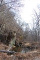 Один из ручьев впадающий в р. Алексеевку.