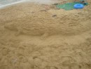 Крокодил из песка!