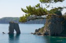 Каменная арка, ветка сосны