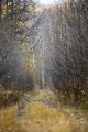 Север приморского края Тернейски р-он