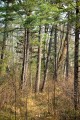 Север приморского края Тернейски р-он