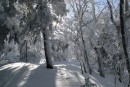 Мне солнце освещало путь наверх.
