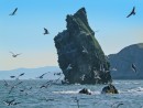 Одинокий кекур. 
Полуостров Брюса.