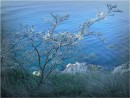 Синее море.
 Возле б.Гротовая, полуостров гамова.
