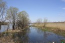 Дамба Сибирцево