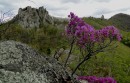 Парк Драконов. Чистоводное.