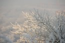 Первые лучи