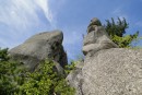 В Парке Драконов.