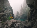 В скалах острова Сибирякова.