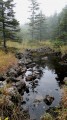 Лужица на г.Ольховой