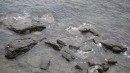 На побережье между Владивостоком и б.Лазурная