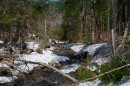 Русло реки Алексеевки