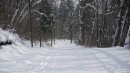 По лыжнеее :)  кстати вечером вся лыжня освещена.