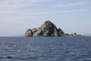 По-моему, это динозаврик.  Полуостров Гамова. Хасанский район.