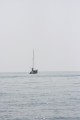 Морские прогулки в ассортименте. Обращаться в село Андреевка, полуостров Гамова, Хасанский район.