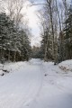 Дорога к водопаду