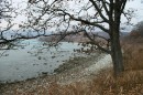 Осенний берег