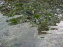 перелив воды