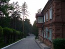Старый корпус - старый лес