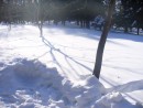 Тени на снегу