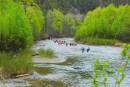 Гонки на катамаранах. Сразу после старта