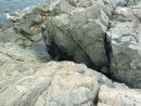 Скалы