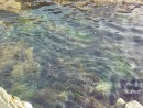 Вода морская